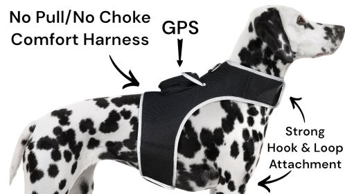 Reputable Water Resilient GPS Tag for Dogs Rechargeable Collar Mount GSM Tracker Size:M